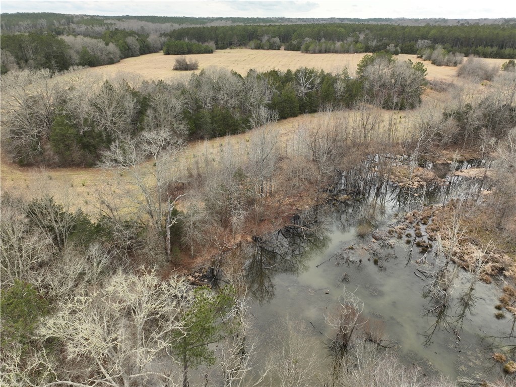 1 Seneca St Extension Calhoun Falls, SC 29628 - Photo 16 of 32 This expansive aerial view showcases a diverse landscape with serene natural water features.