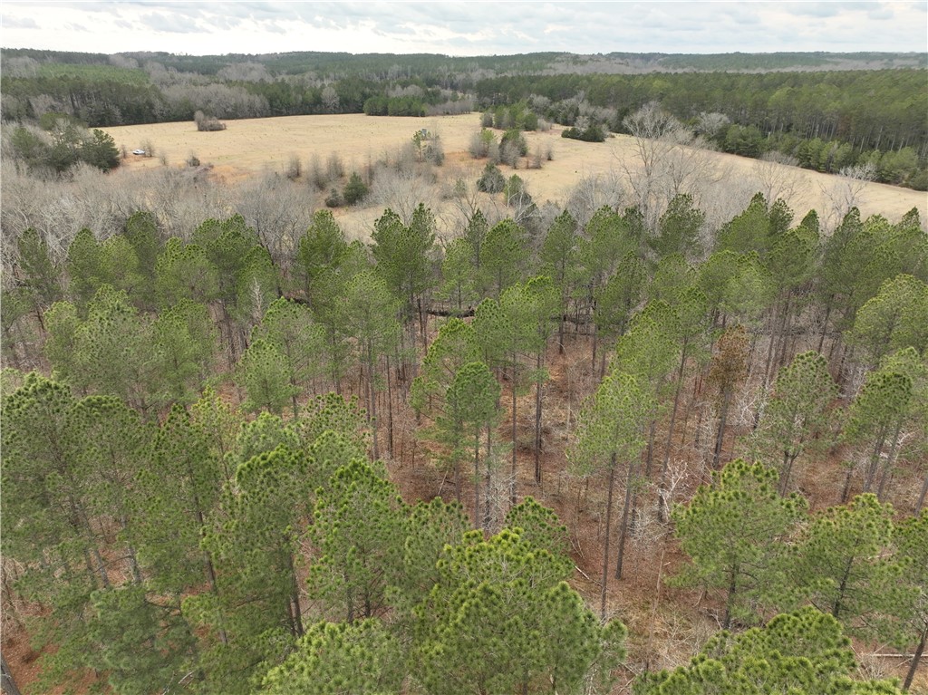 1 Seneca St Extension Calhoun Falls, SC 29628 - Photo 18 of 32 This expansive aerial view showcases a diverse landscape of fields and mature trees.