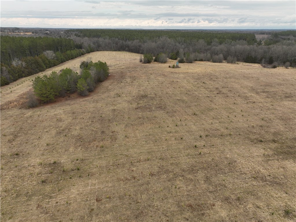 1 Seneca St Extension Calhoun Falls, SC 29628 - Photo 21 of 32 Expansive undeveloped land offers a tranquil retreat for your future estate.
