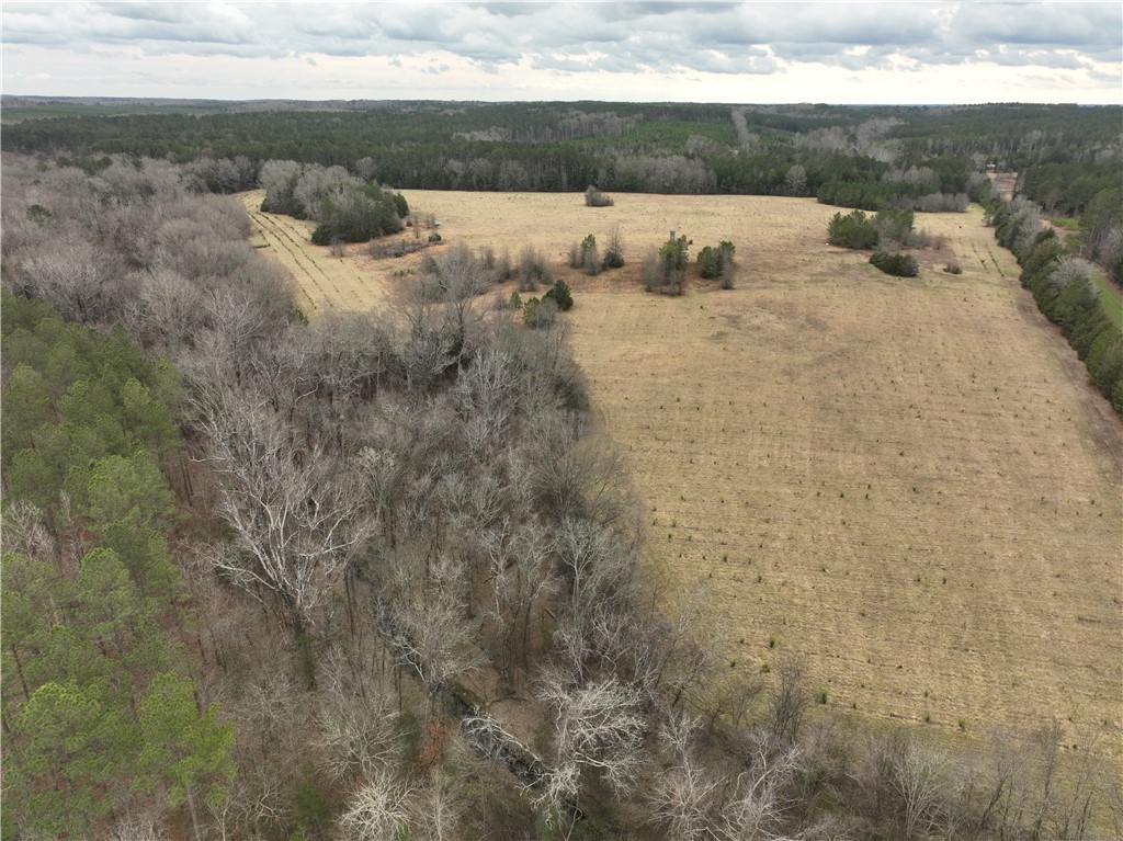 1 Seneca St Extension Calhoun Falls, SC 29628 - Photo 23 of 32 Expansive acreage offering a mix of wooded areas and open fields, perfect for diverse outdoor pursuits.