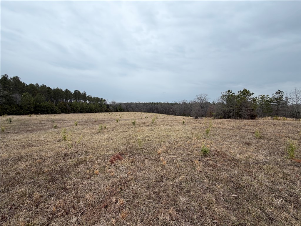 1 Seneca St Extension Calhoun Falls, SC 29628 - Photo 25 of 32 Expansive acreage provides a verdant canvas for your vision, surrounded by mature trees.