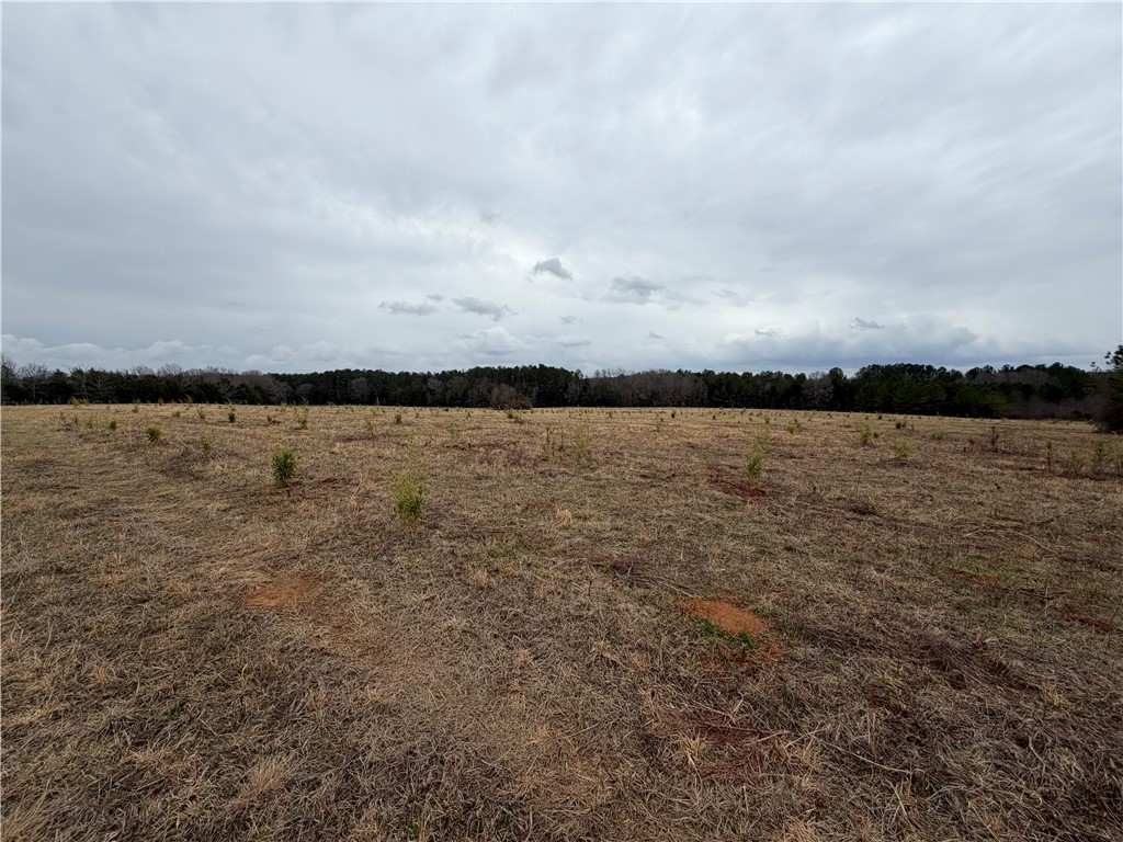1 Seneca St Extension Calhoun Falls, SC 29628 - Photo 27 of 32 Expansive acreage provides ample space for custom development under an open sky.