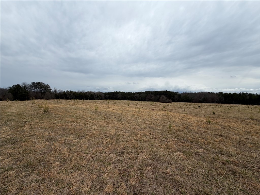 1 Seneca St Extension Calhoun Falls, SC 29628 - Photo 28 of 32 Expansive natural land with abundant potential.