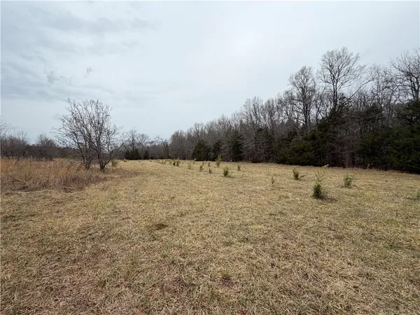 $438,000 | 1 Seneca St Extension, Calhoun Falls, SC 29628