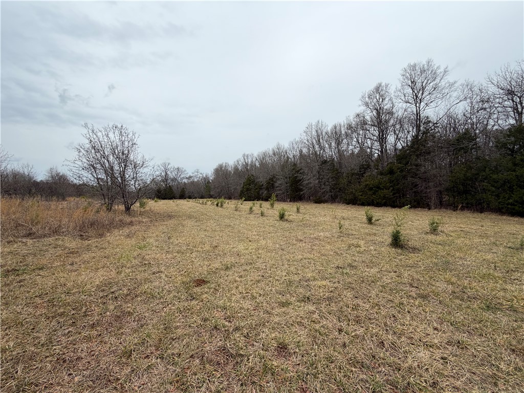 1 Seneca St Extension Calhoun Falls, SC 29628 - Photo 30 of 32 Expansive green spaces provide a verdant retreat, ideal for peaceful contemplation or outdoor pursuits.