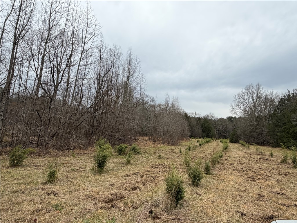 1 Seneca St Extension Calhoun Falls, SC 29628 - Photo 31 of 32 Expansive natural landscape with verdant trees and open land.