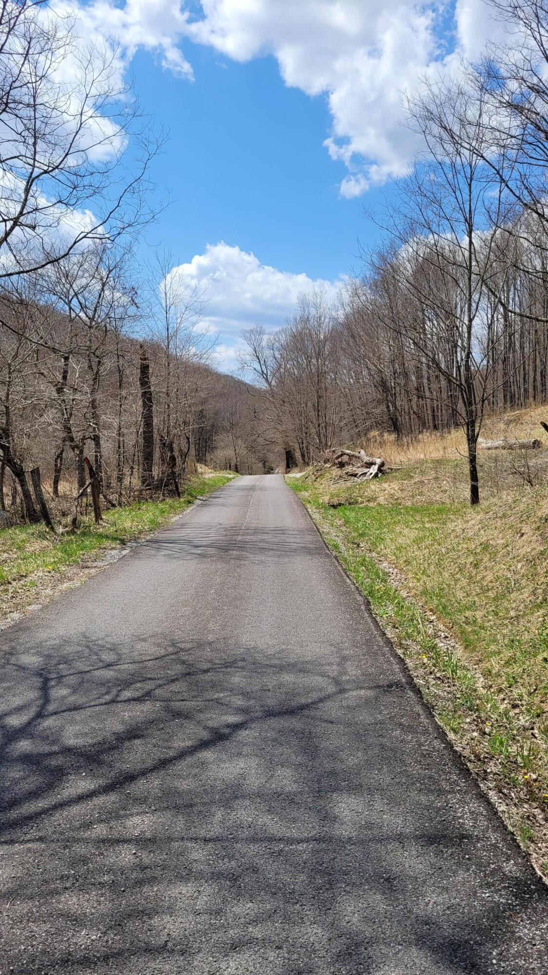 Dry Branch Road Valley Head, WV 26294 - Photo 23 of 24 Gallery Image 23