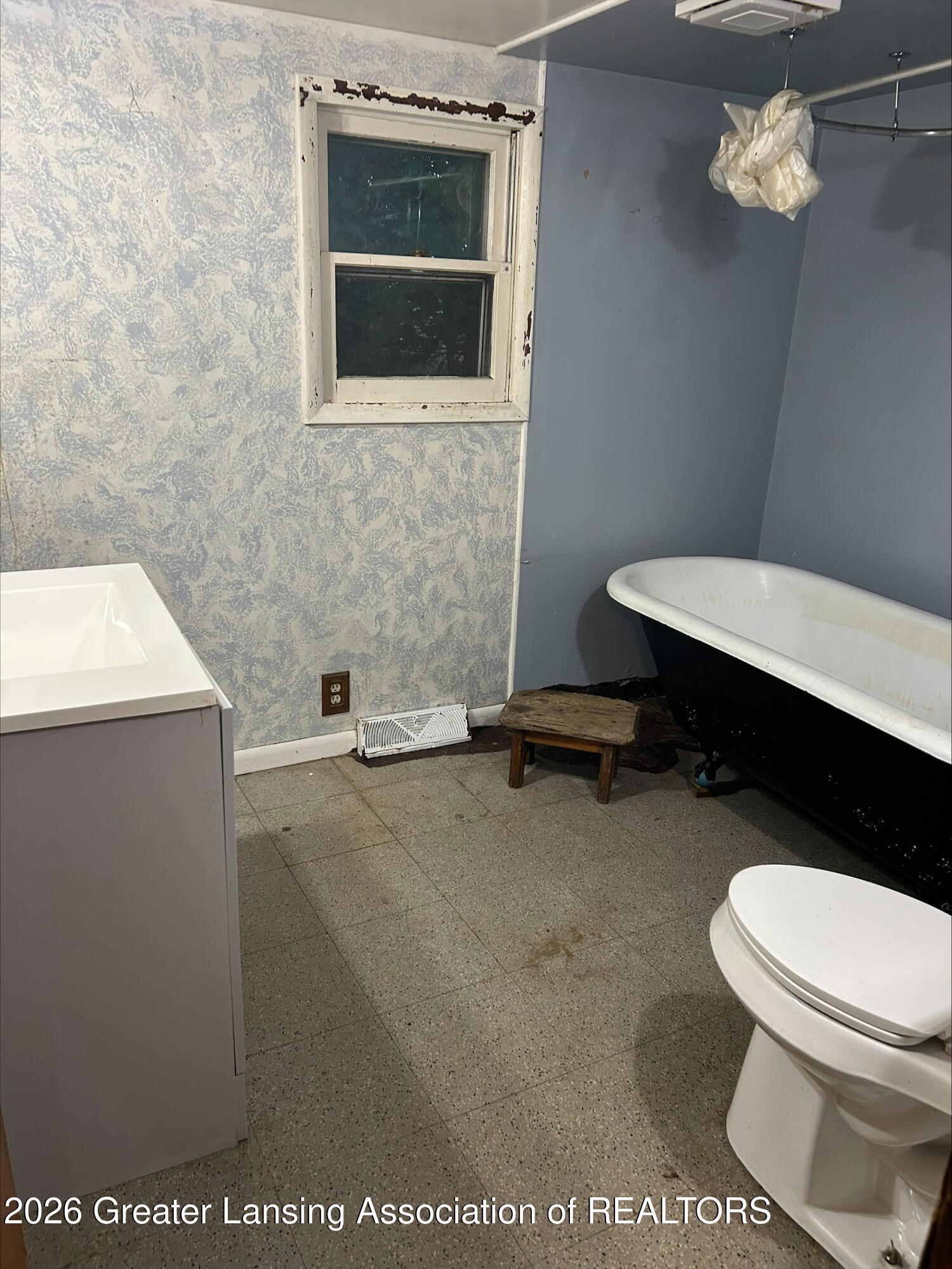 5353 North Watson Road Elsie, MI 48831 - Photo 12 of 31 processed-3DDA2E18-30C3-4921-ABBD-E23D7E