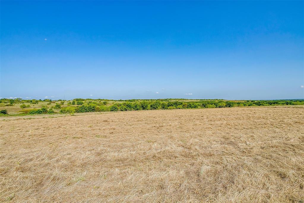 965 San Jacinto Aledo, TX 76008 - Photo 15 of 16