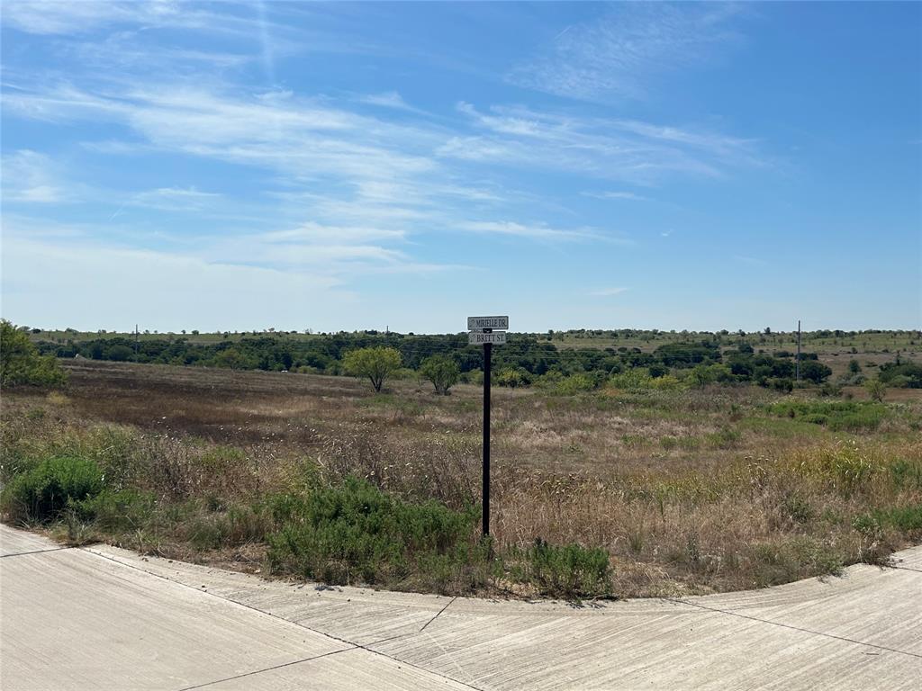 1033 Bear Creek Ranch Road Aledo, TX 76008 - Photo 5 of 9 a view of a lake view