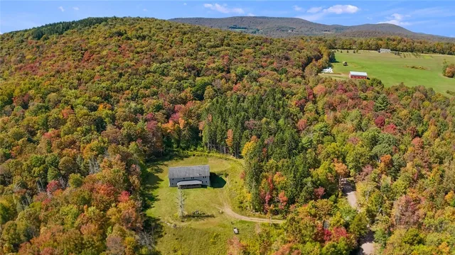 $599,000 | 1724 Calhoun Hill Road, Andes, NY 13731