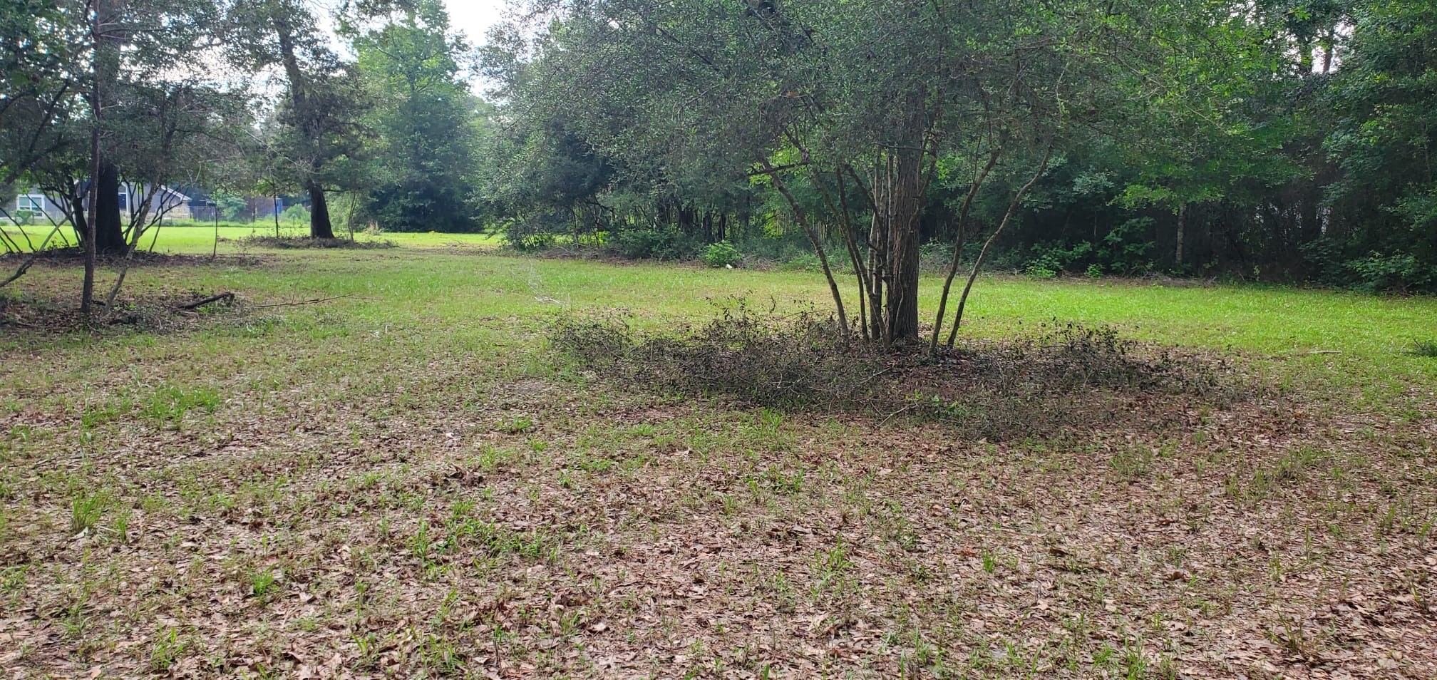 15203 Bart Lake Road Conroe, TX 77303 - Photo 5 of 8 a view of outdoor space with trees all around