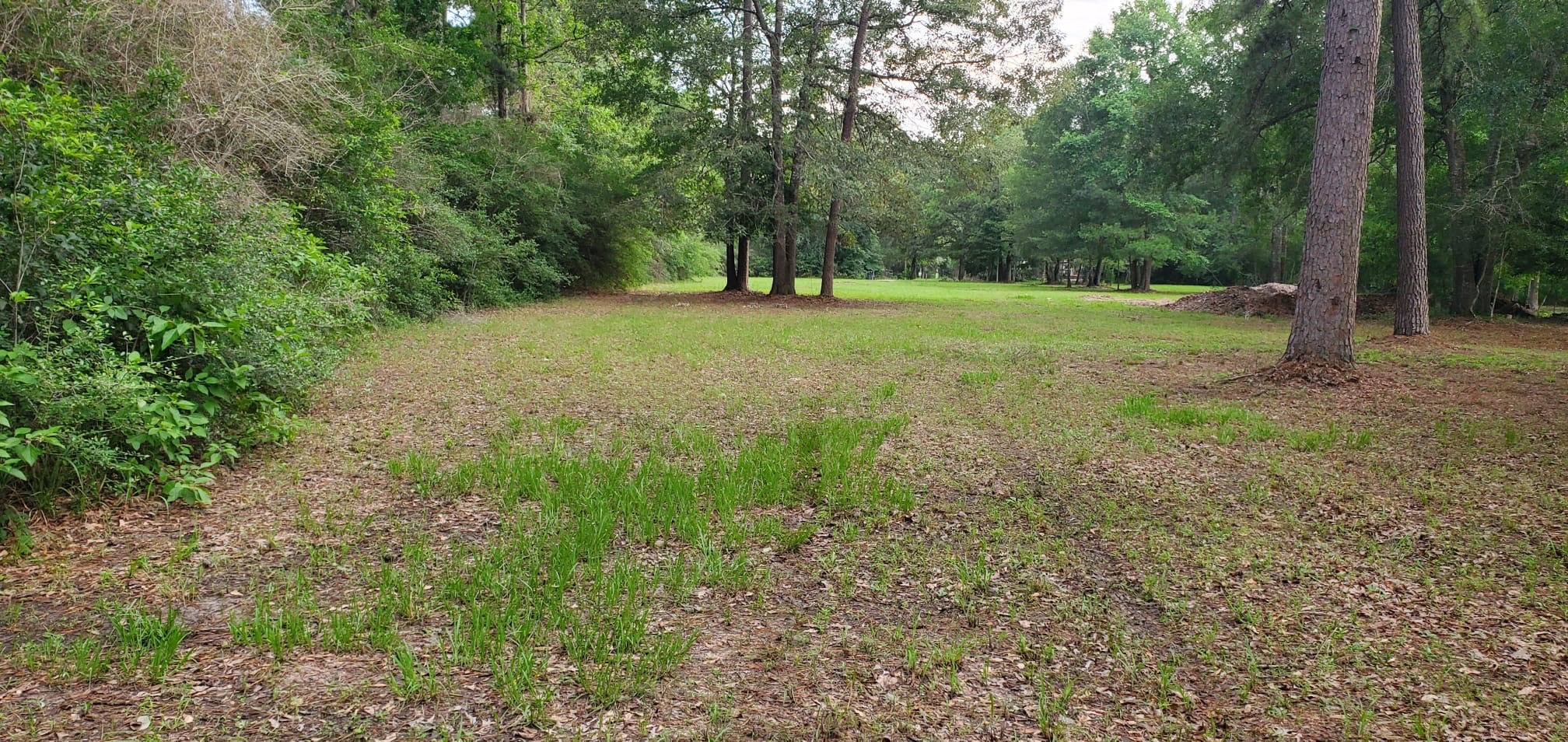 15203 Bart Lake Road Conroe, TX 77303 - Photo 7 of 8 a view of outdoor space with trees all around
