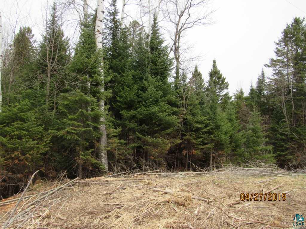 20-acres Lund Road Maple, WI 54854 - Photo 1 of 21