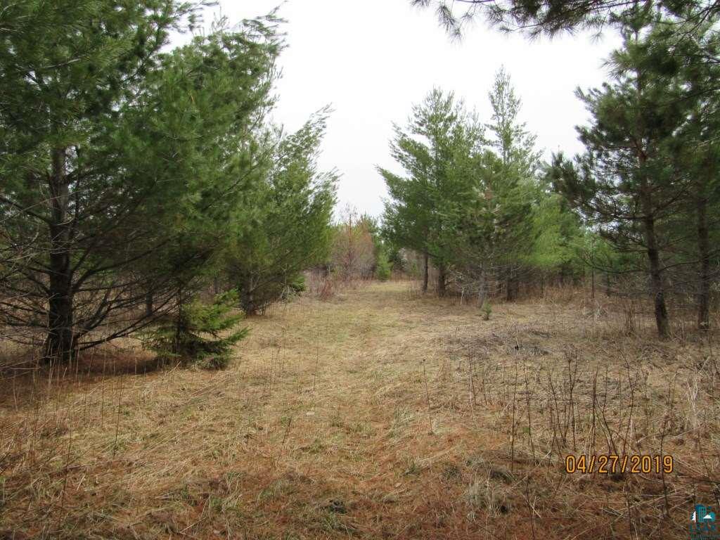 20-acres Lund Road Maple, WI 54854 - Photo 15 of 21
