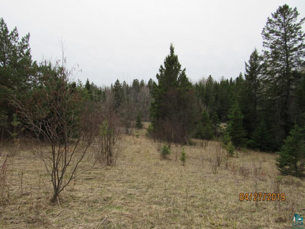 20-acres Lund Road Maple, WI 54854 - Photo 16 of 21
