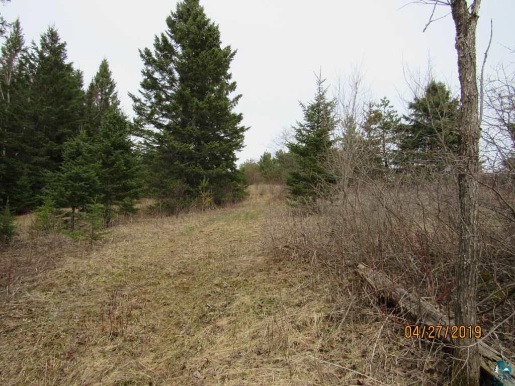 20-acres Lund Road Maple, WI 54854 - Photo 17 of 21
