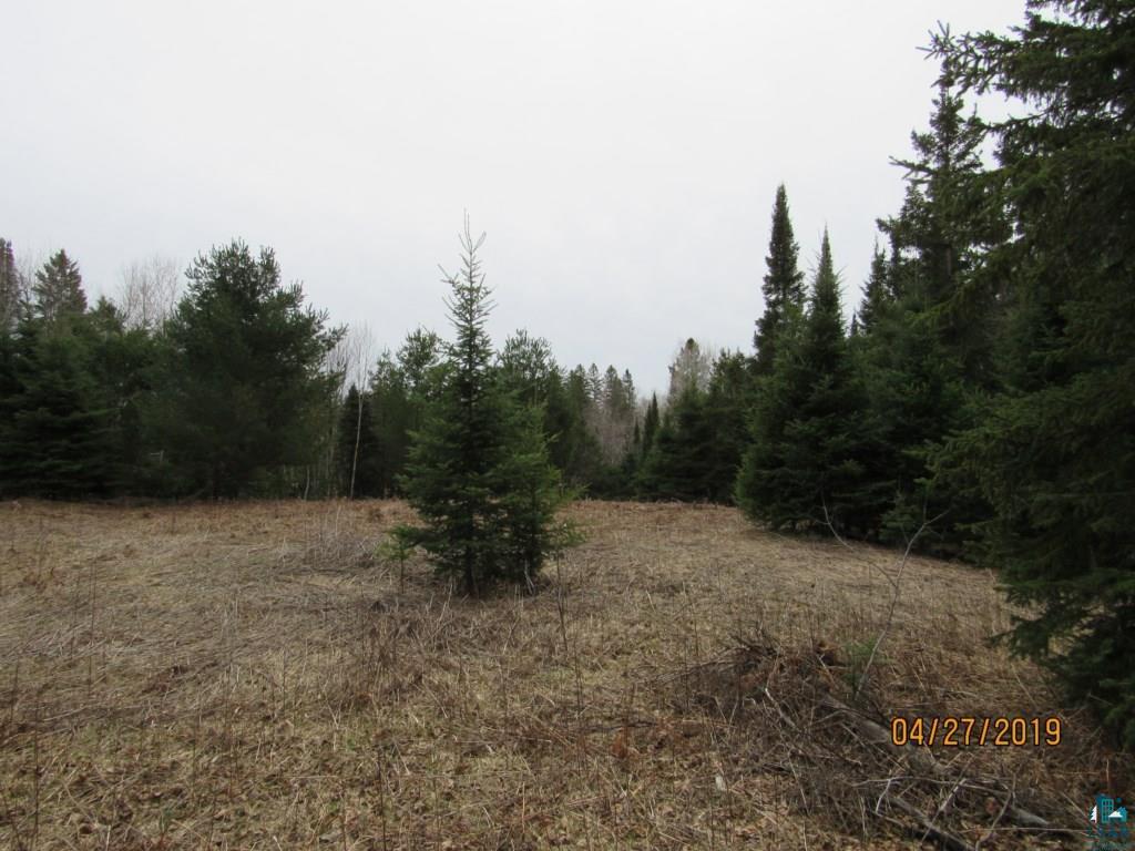 20-acres Lund Road Maple, WI 54854 - Photo 8 of 21