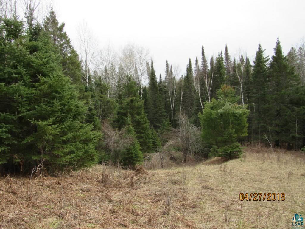 20-acres Lund Road Maple, WI 54854 - Photo 9 of 21
