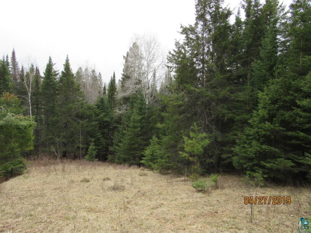 20-acres Lund Road Maple, WI 54854 - Photo 10 of 21