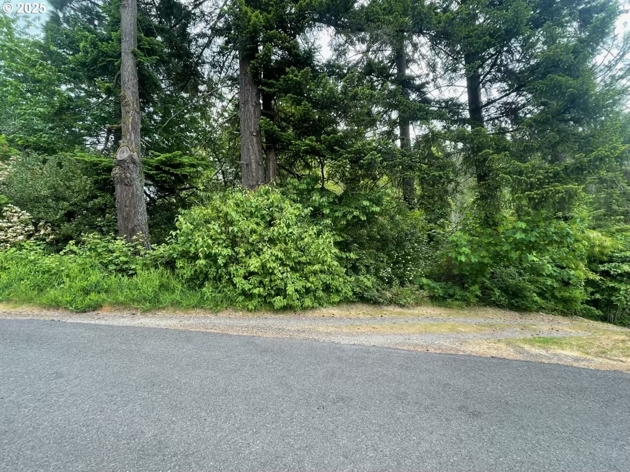 Carson Depot Road Carson, WA 98610 - Photo 5 of 9