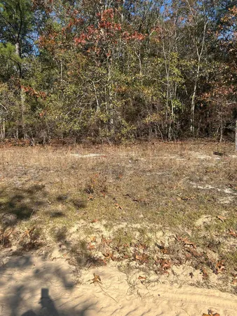 $50,000 | 0 Hawthorn Trail, St. Matthews, SC 29135