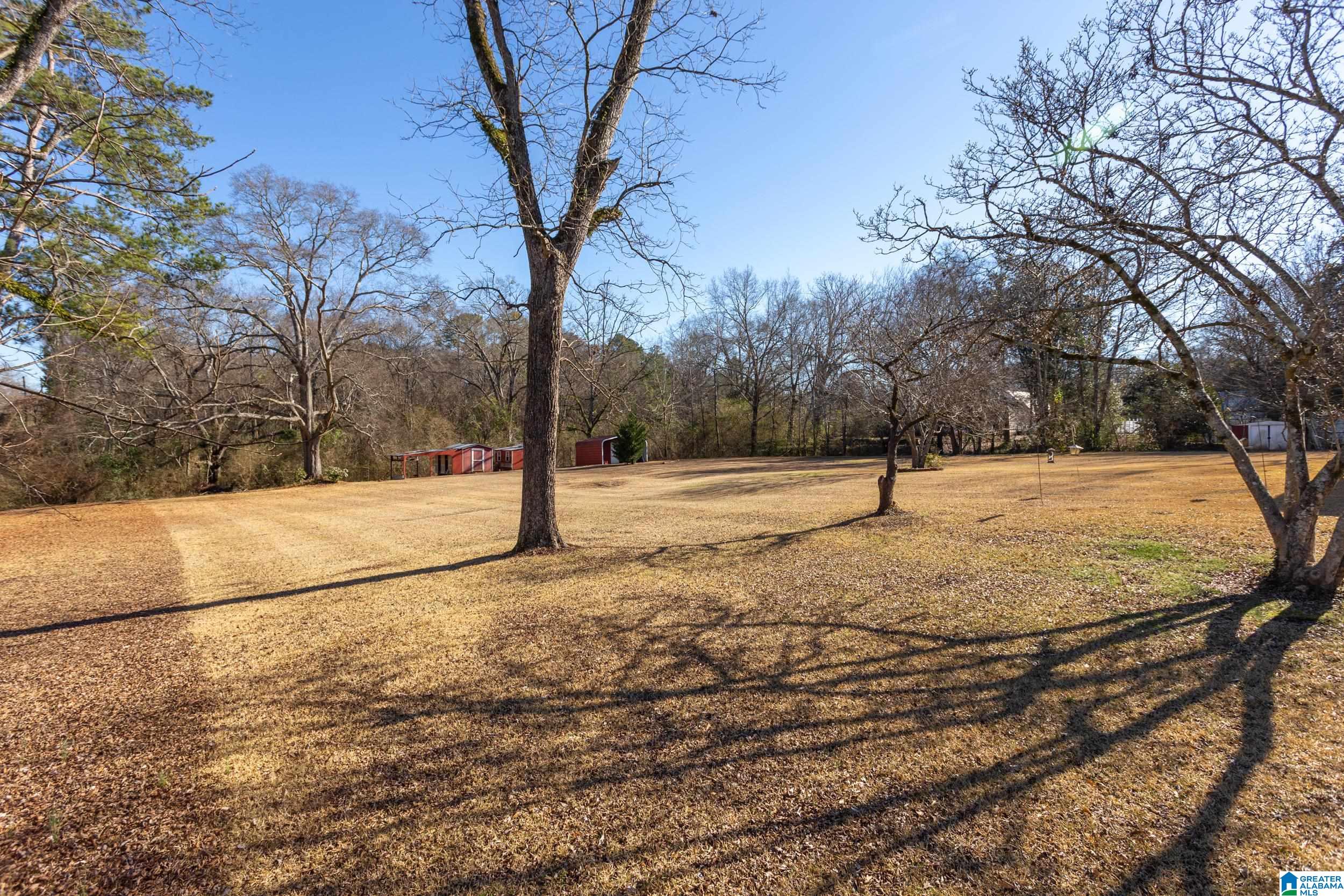 61 Chestnut Street Lincoln, AL 35096 - Photo 38 of 45