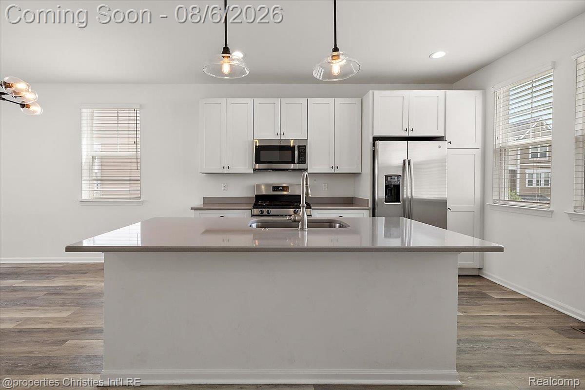 2500 Normandy Road, Unit 38 Royal Oak, MI 48073 - Photo 10 of 55 Kitchen featuring a spacious island with an undermount sink, white cabinetry, stainless steel appliances, and wood-finish flooring