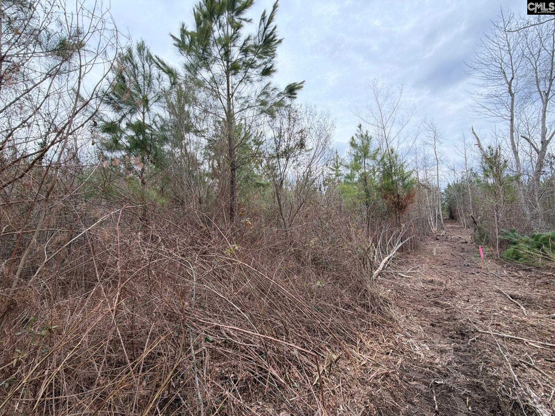 4 Jc Barefoot Road, Unit BFF II 4 Patrick, SC 29584 - Photo 22 of 32
