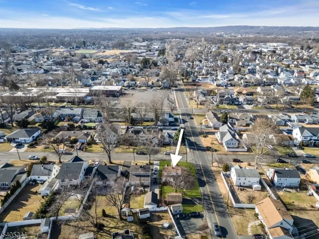 a view of a park with large trees