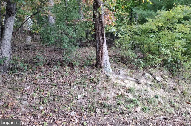 $36,500 | 0 Skiway Avenue, Waynesboro, PA 17268