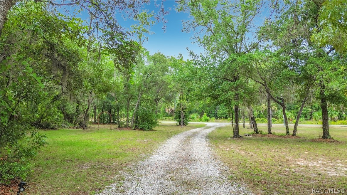 6687 West 7 Rivers Drive Crystal River, FL 34429 - Photo 60 of 68