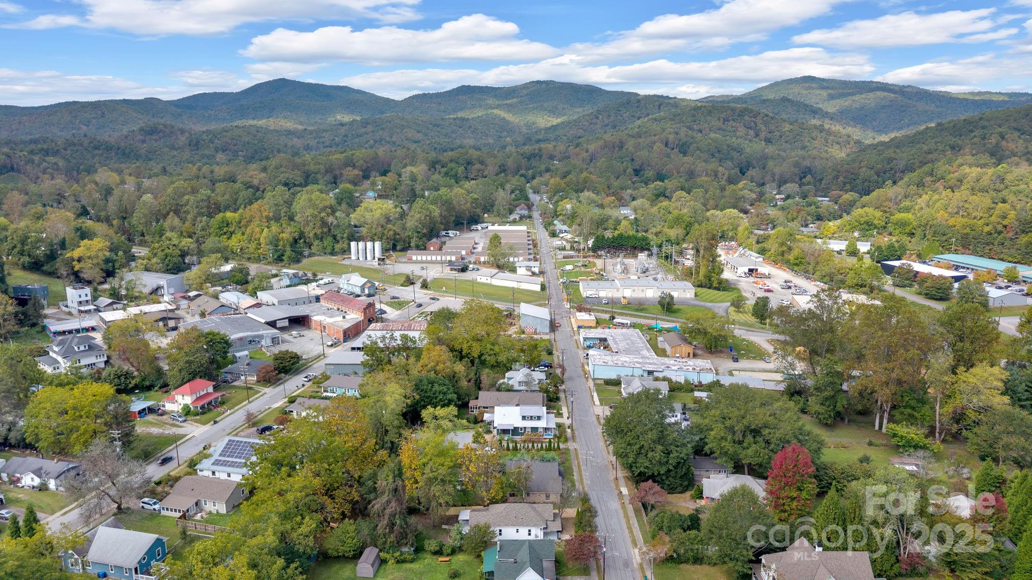 95 Whitmire Street Brevard, NC 28712 - Photo 31 of 34 a view of a city