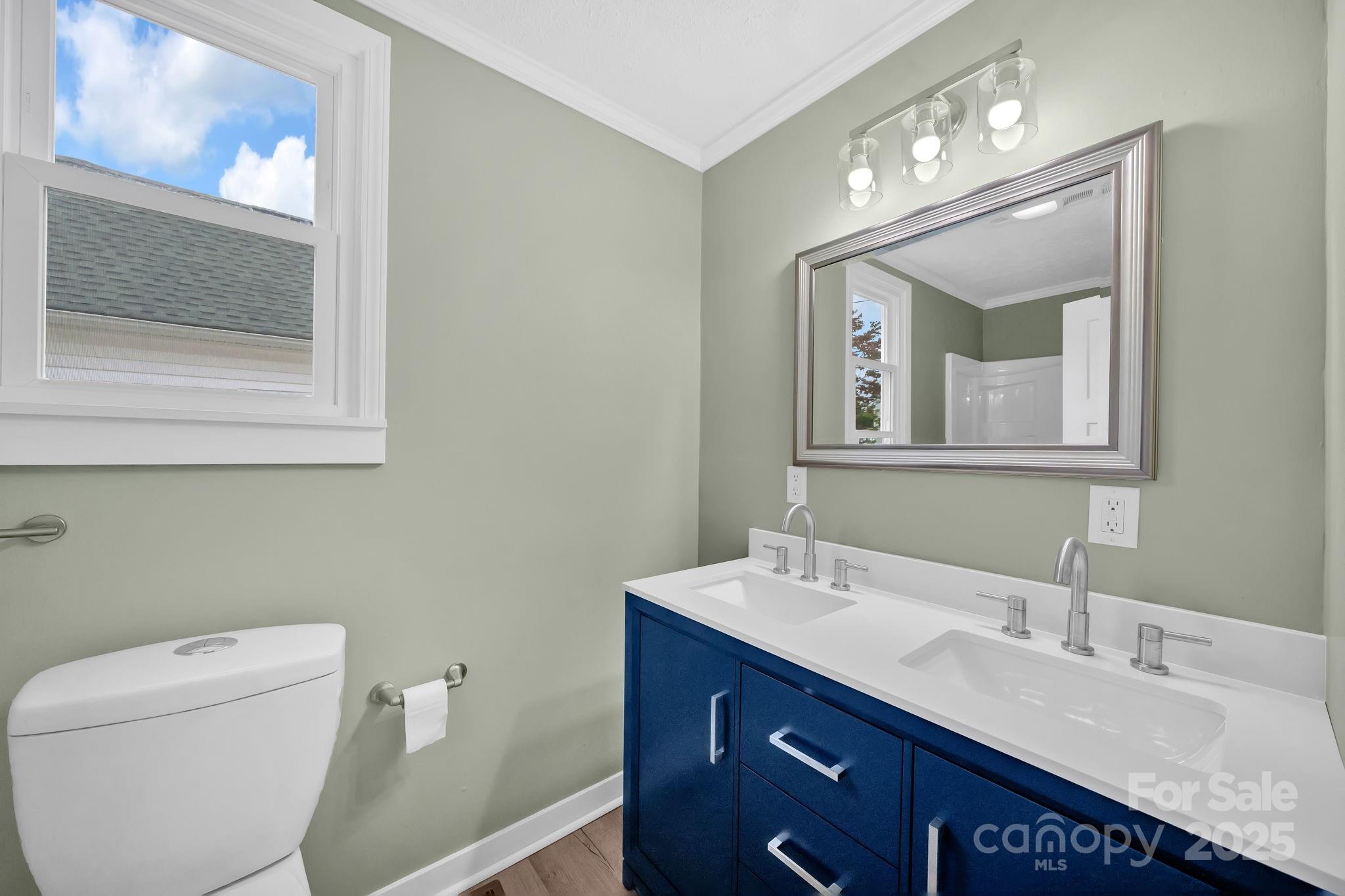 95 Whitmire Street Brevard, NC 28712 - Photo 8 of 34 a bathroom with a toilet a sink and mirror