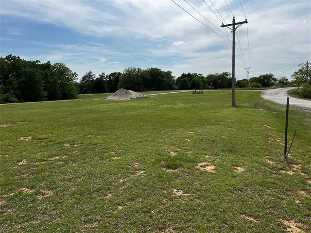a view of a green field with a tree in the background