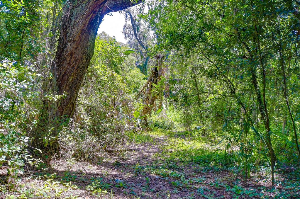 3801 Pate Road Zephyrhills, FL 33541 - Photo 48 of 63 Gallery Image 48