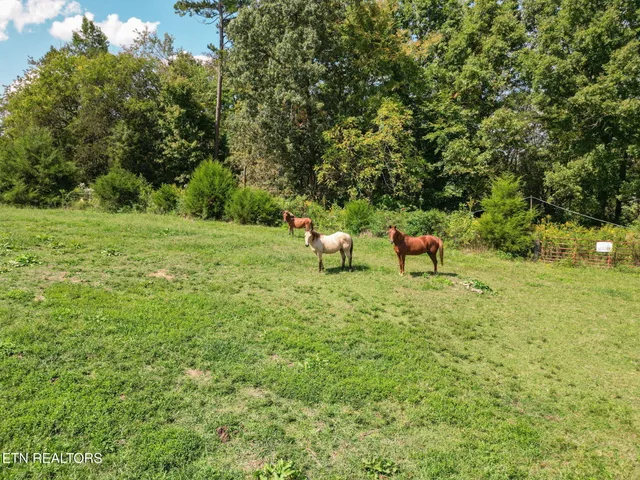 $485,000 | 2733 Shipe Road, Mascot, TN 37806