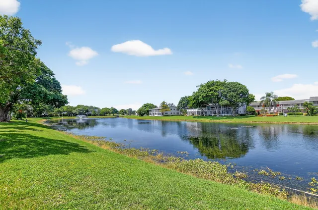 a view of a lake with a city