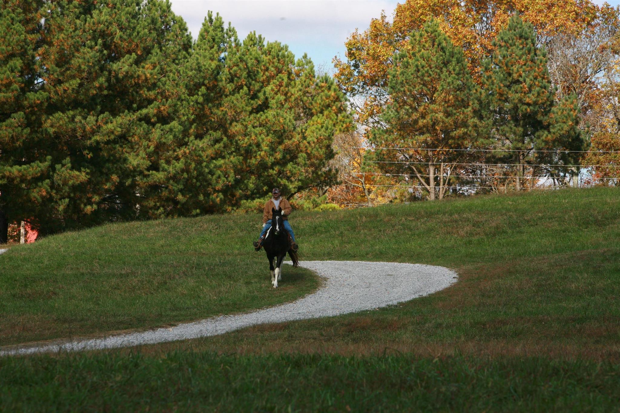 2004 Lawrence Lane Springfield, TN 37172 - Photo 28 of 30 a view of a park