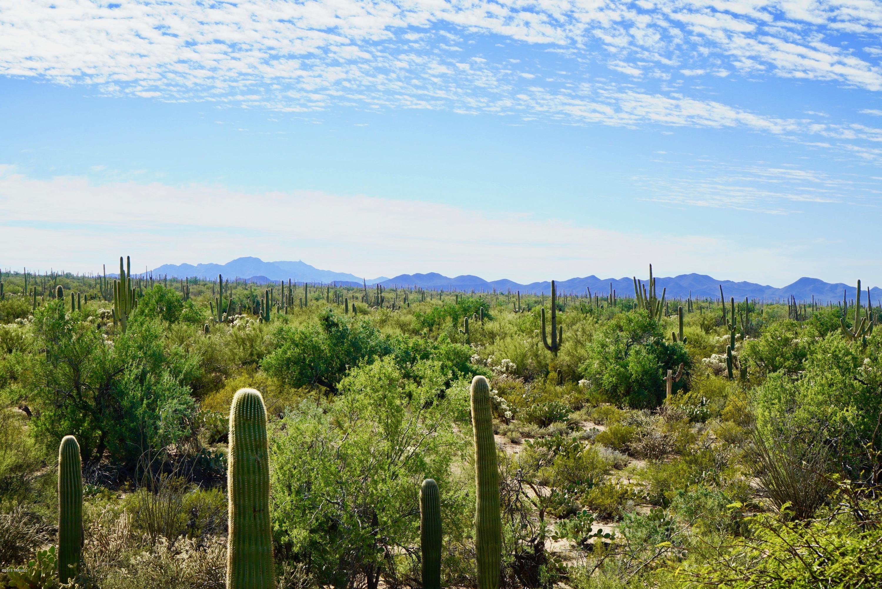 10195 West Rudasill Road Tucson, AZ 85743 - Photo 41 of 44