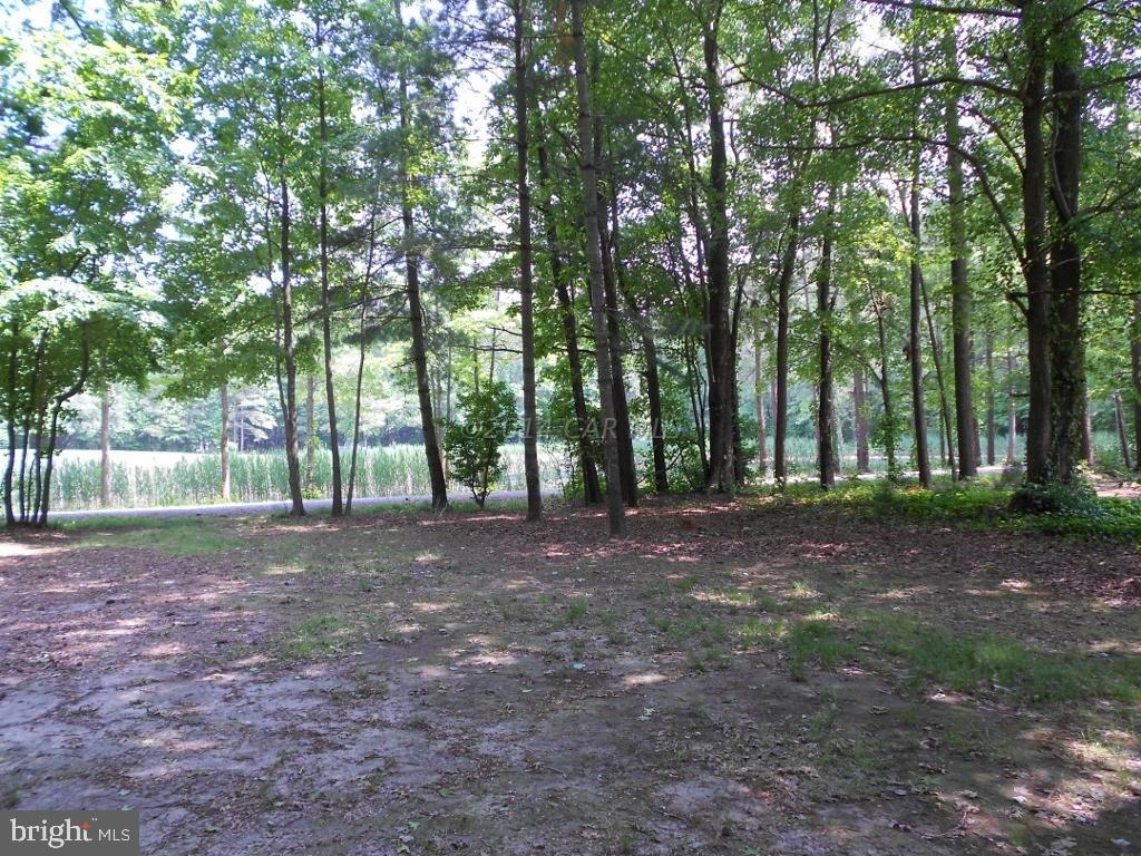 46 Beaconhill Road Ocean Pines, MD 21811 - Photo 14 of 17
