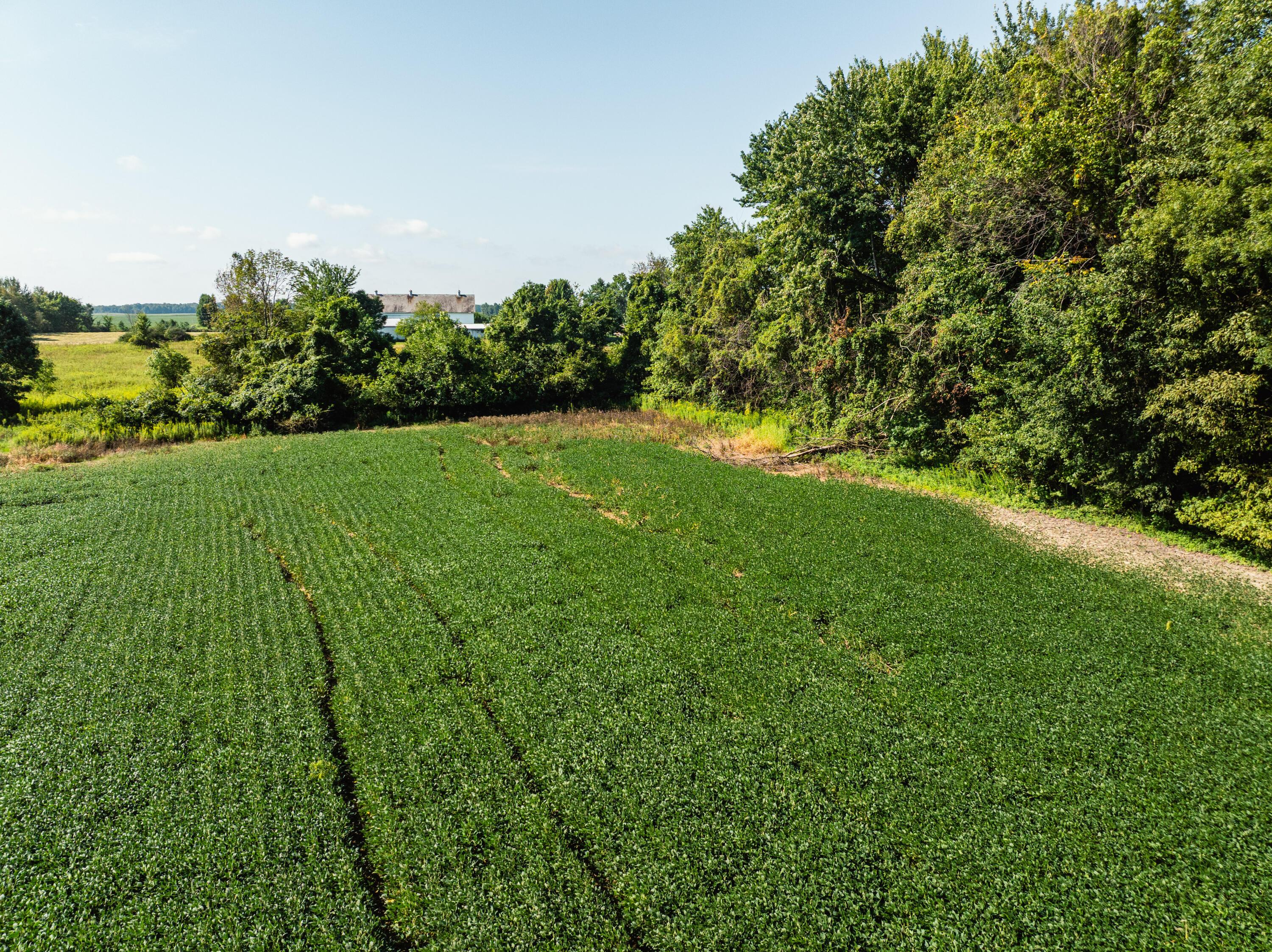 0 Sycamore Road Centerburg, OH 43011 - Photo 28 of 69 DJI_20260827152700_0809_D