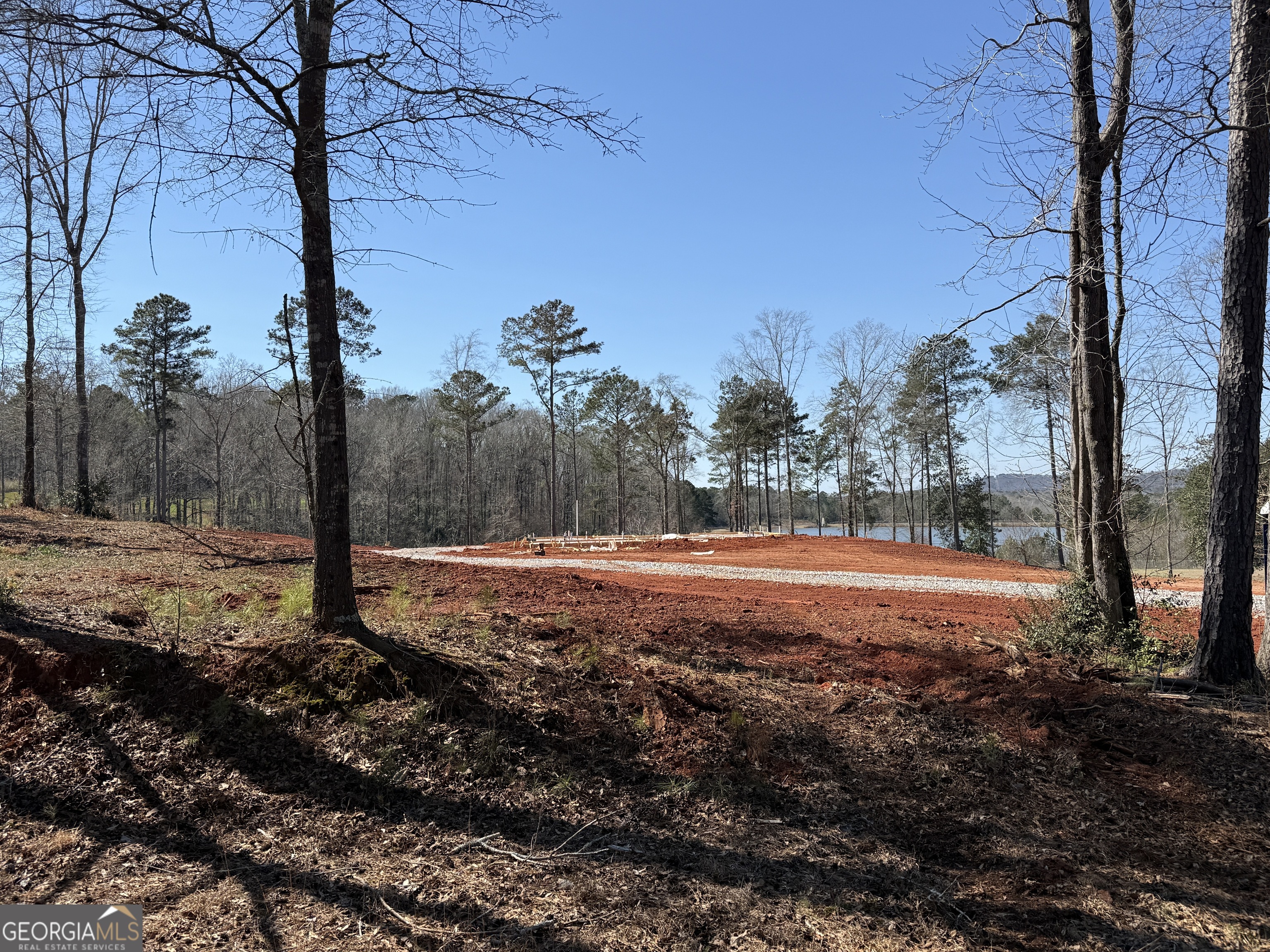 5 Hannahs Mill Road Thomaston, GA 30286 - Photo 7 of 31