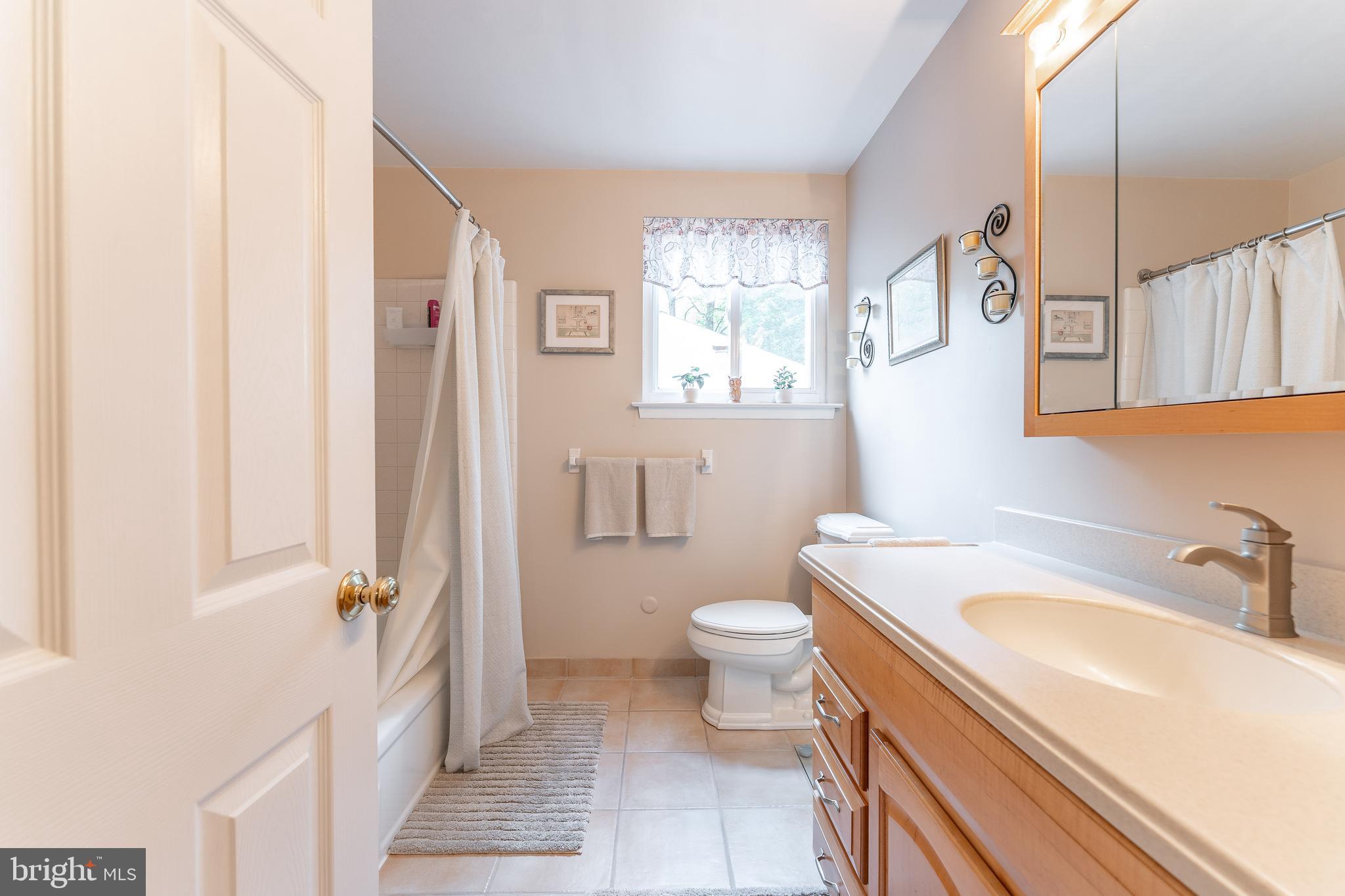 345 Ellis Road Havertown, PA 19083 - Photo 38 of 47 a bathroom with a sink toilet a mirror and shower