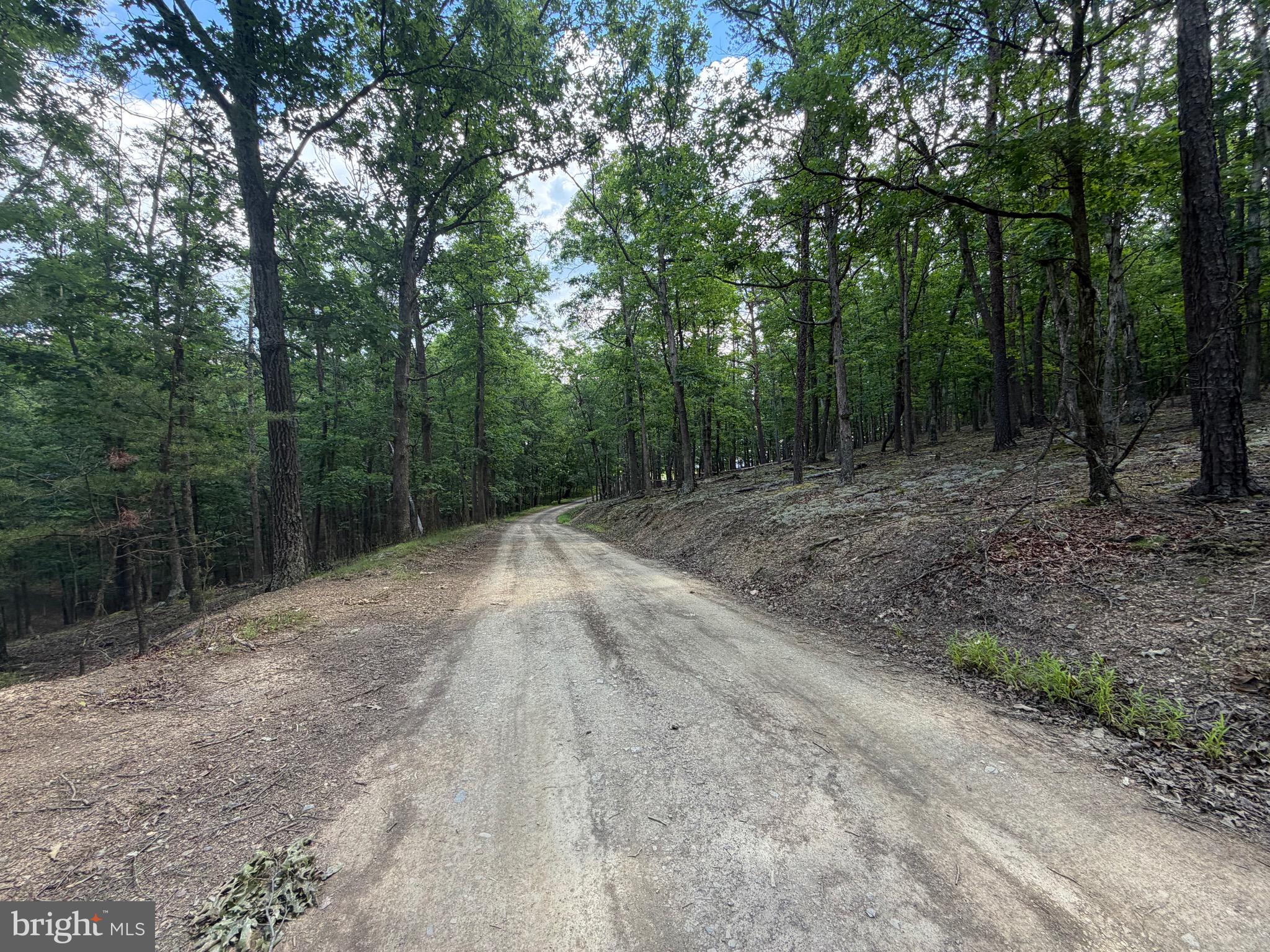 0 Headsville Road Keyser, WV 26726 - Photo 16 of 24