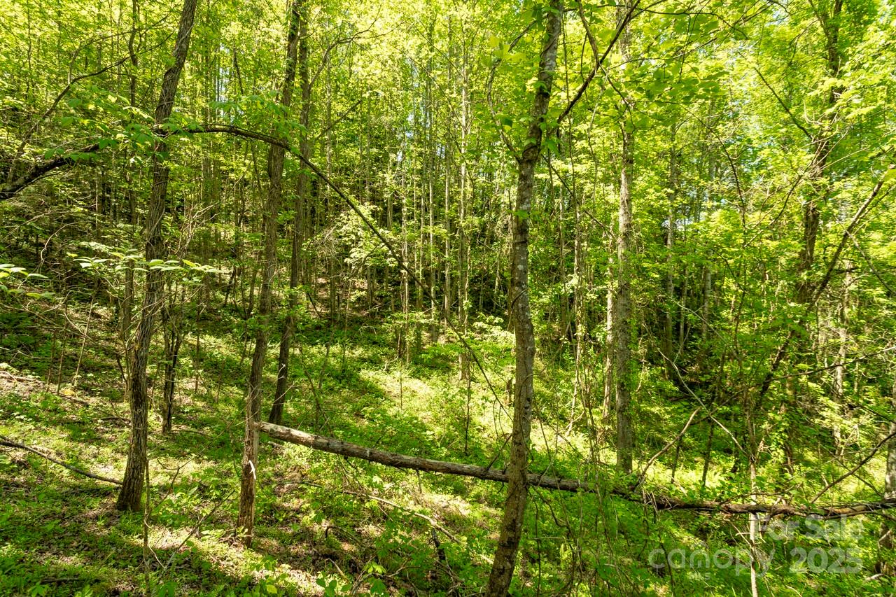 Off Of Locust Crk Road Sylva, NC 28779 - Photo 10 of 20