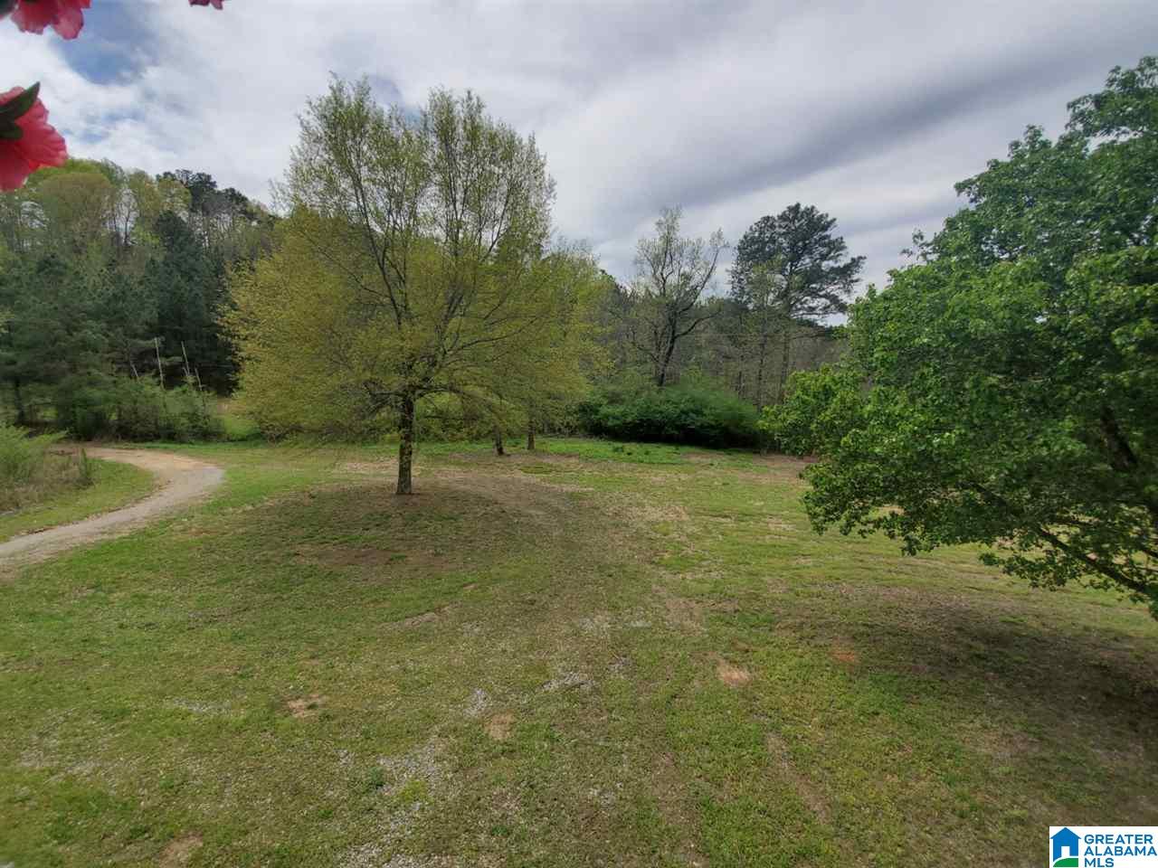 74 Clark Way Empire, AL 35063 - Photo 4 of 26