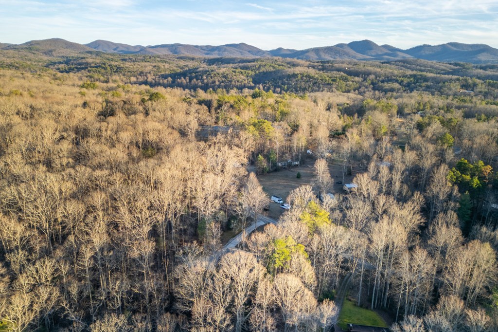 125 Cedar Lane Morganton, GA 30560 - Photo 81 of 90