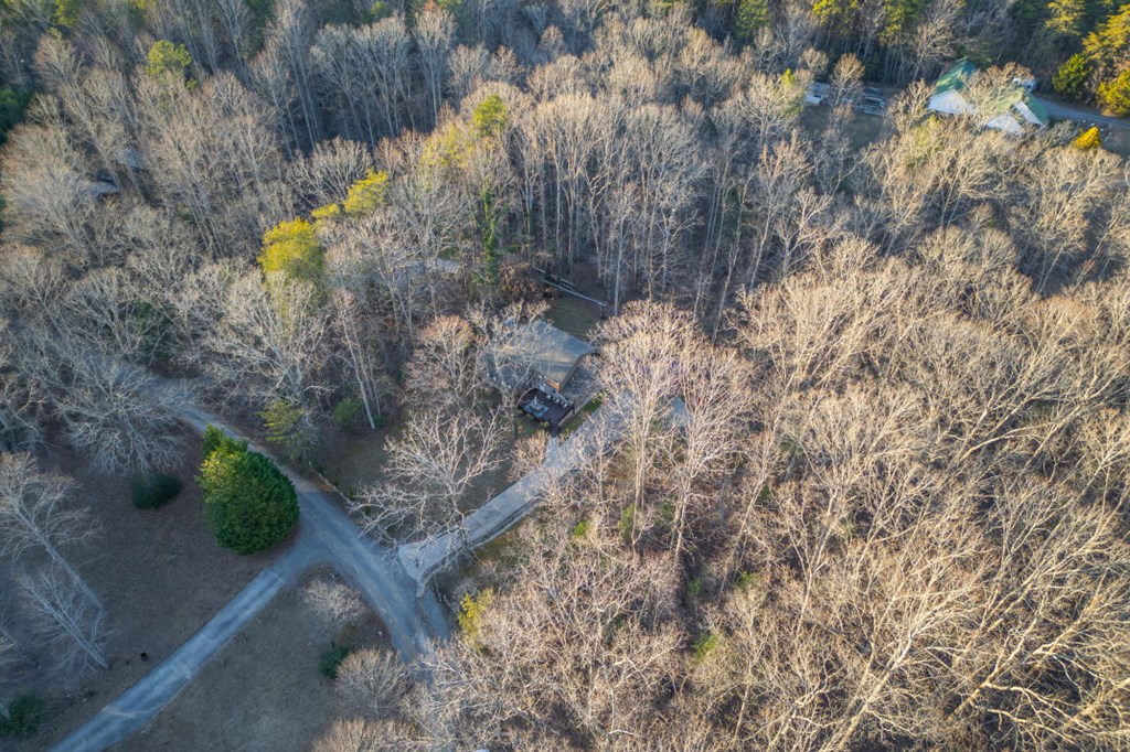 125 Cedar Lane Morganton, GA 30560 - Photo 82 of 90