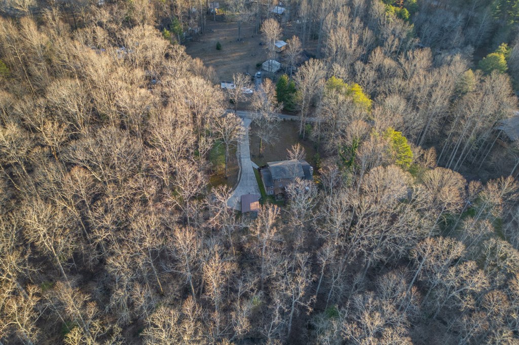 125 Cedar Lane Morganton, GA 30560 - Photo 83 of 90